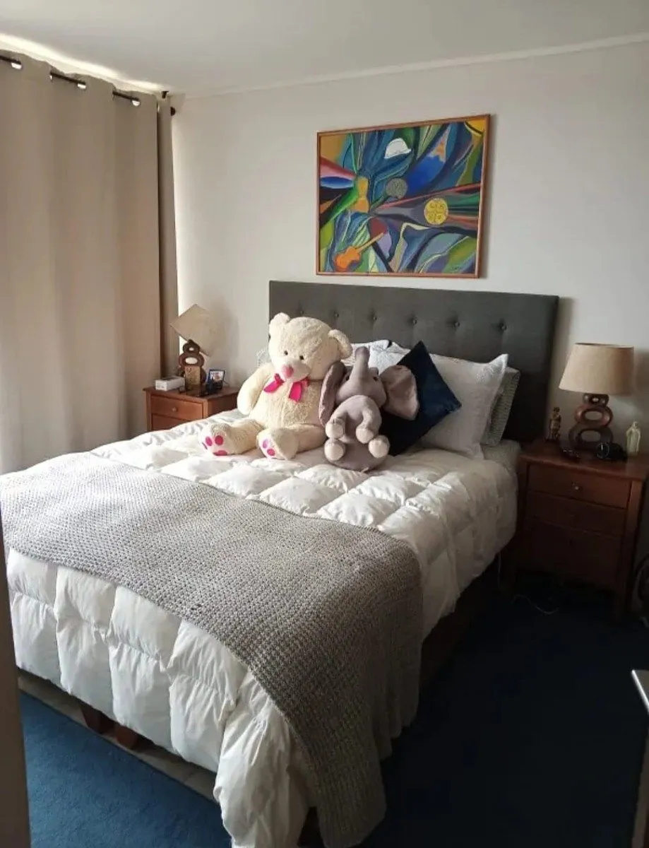 Imagen 5 de 11 de Se Vende Departamento En Bosques De Montemar