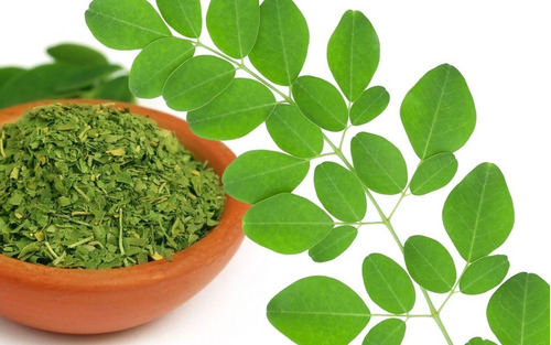 Moringa En Polvo X 500 G - Unidad a $35000