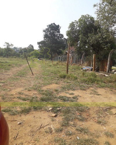 Imagem 8 de 9 de Terreno - Te00063 - 68678674