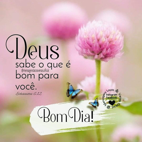 Imagem 1 de 2 de Sinotruck A7 A7