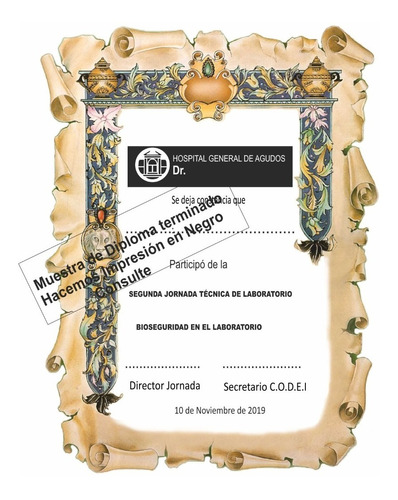  Diploma Oficio -pergamino -10 Unid.- 24 X 35.50 Cm -