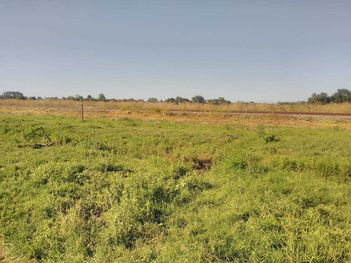 Imagen 1 de 1 de Venta Campo