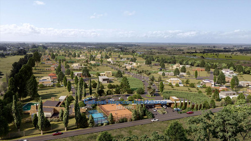 Venta Terrenos Cavas De La Tahona