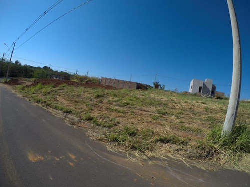 Imagem 4 de 6 de Terrenos - Ref: V3965
