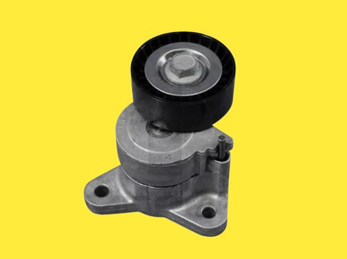 Tensor Correa Unica Caliber, Patrio Compas