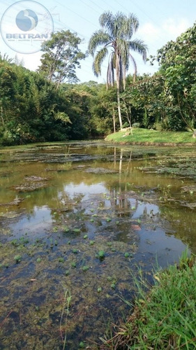 Imagem 20 de 30 de Chácara A Venda . - 541-1