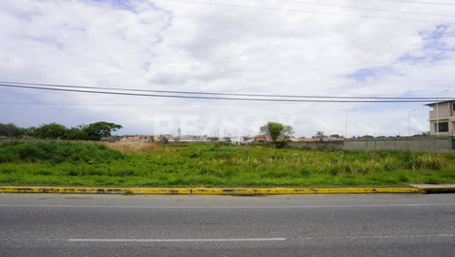 Imagen 5 de 6 de Venta De Terreno En Alto Barinas Cod. 445149