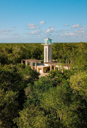 Venta De Terrenos En Senderos Poniente, Ciudad Mayakoba De 192 M2, Luxury