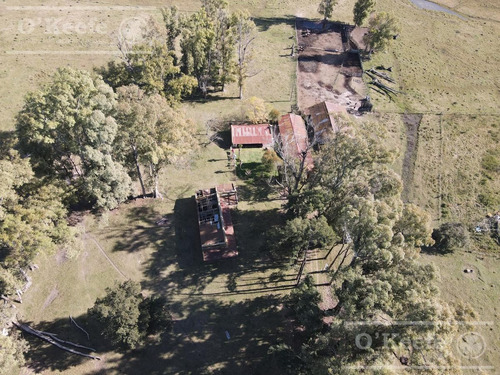 Imagen 6 de 27 de Campo De 600 Has En Venta En Gualeguaychu - Muy Buen Campo Ganadero De 0,7 Ev/ha Con Casco