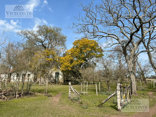 Imagen 4 de 29 de Campo - General Mansilla