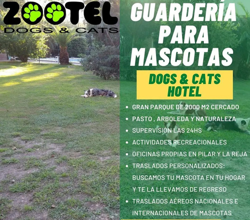 Pensionado Guarderia Canina_ Experiencia_seguridad_atención