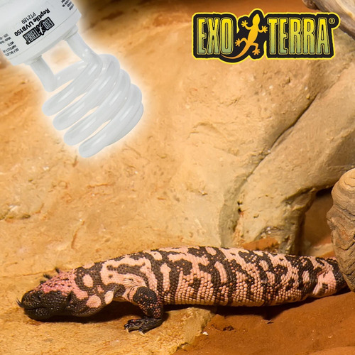 Exoterra Foco Reptiglo 10.0 26w Varano Dragon Barbudo Agama