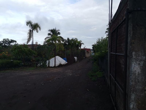 Terreno En Venta Casasano