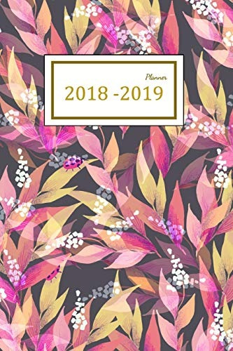 2018  2019 Planner Two Year Planner| 24 Month ( Daily Weekly