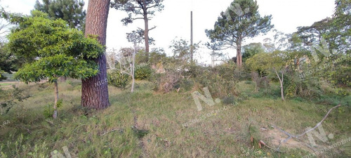 Imagen 10 de 10 de Oportunidad - Punta Del Este Marly