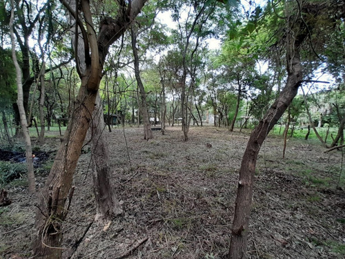 Vendo Pequeño Bosque Sobre El Río Corriente En La Ciudad De Esquina!!!!