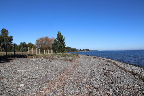 Preciosa Parcela De 1 Hectárea A Orilla Del Lago Llanquihu