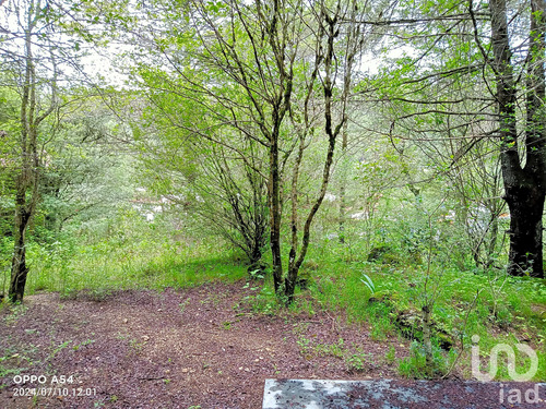 Venta Terreno 0 Ambiente Corral De Piedra