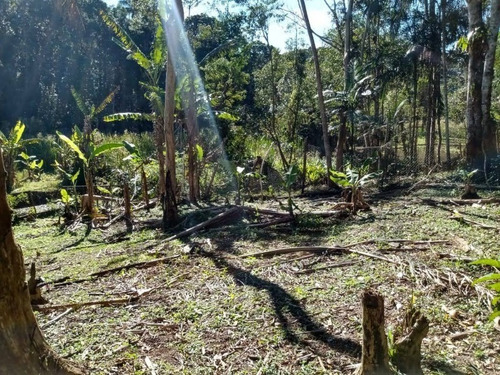 Imagem 24 de 25 de Chácara Rica Em Água Com Nascente Própria E Lindo Lago Piscoso Localizada Em Juquitiba/sp. - 325 - 69538550