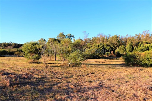 En Venta Fracción De Dos Hectáreas En Colonia Del Sacramento