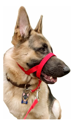 Collar Halti Anti Tirones Perros Mega Tienda Adiestramiento