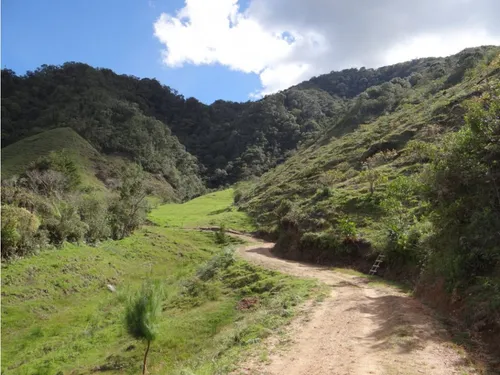 Finca En Venta La Unión Via Abejorral Antioquia. 83 Hectareas