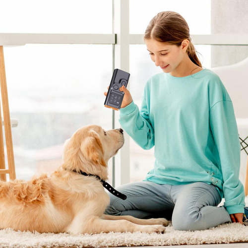 Dispositivos Para Dejar De Ladrar Para Perros Dispositivo An