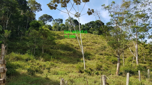 Imagem 2 de 30 de Juquiá/sitio Com Pupunha/ Pasto E 05 Lagos Para Pesqueiro - 04857 - 34121206