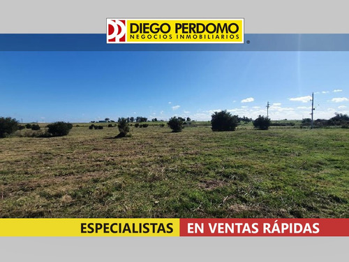 Chacra De 4,3 Has Ruta Nº 1, Km 57 En Venta