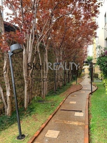 Imagem 11 de 15 de Apartamentos - Morumbi - Ref: 14107 - V-14107