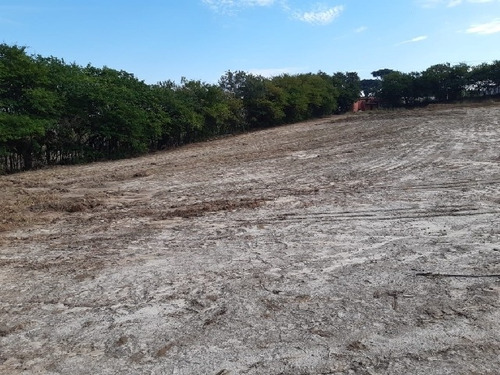 Imagem 5 de 8 de Venda - Área Zona Industrial / Sorocaba/sp - 6549