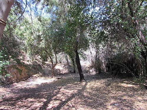 El Arrayan, Casa 270m2 En 1.500 M2 (76268)