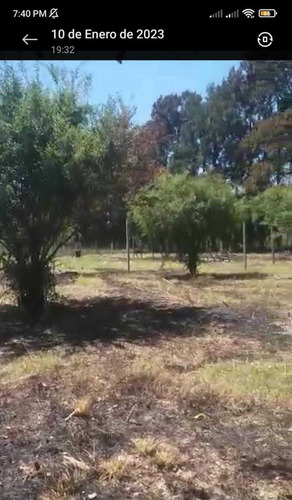 Imagen 7 de 19 de Terreno 107x81 Metros Virreydel Pino