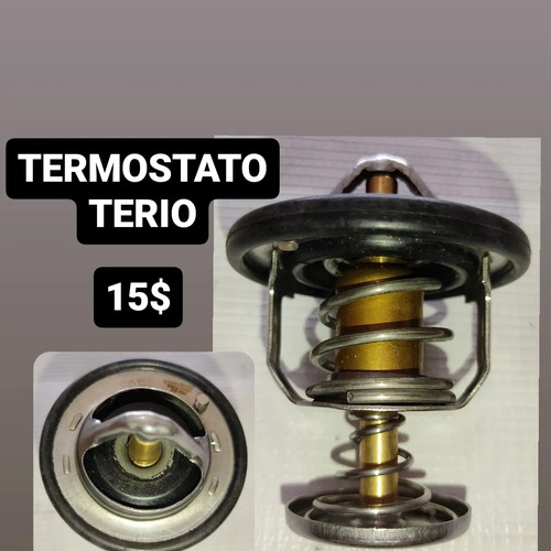 Termostato Terio 