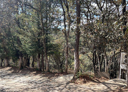 Lote En Venta , Excelente Ubicacion , En Fracc. Bosques Zumate