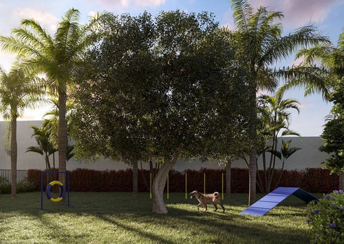 Imagem 10 de 20 de Apartamento - Ap03259 - 69290384