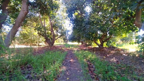 Venta Parcela Camino La Estancillla - Viluco - Buin