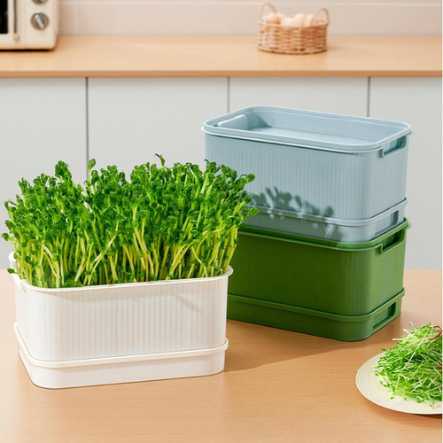 Seed Sprouts Tray Saving Space Versatile Large White