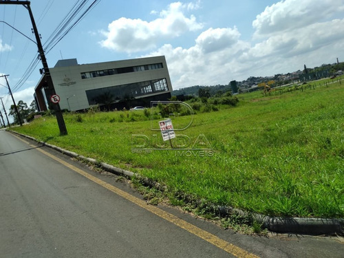 Terreno - Sao Cristovao - Ref: 33126 - V-33123