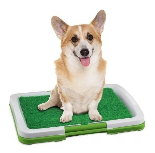 Alfombra Sanitaria Para Perros  Perro Lavable De 47cm X 34cm