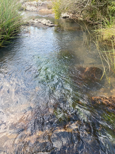 Chacra De 5 Hecteras Con Arroyo Propio