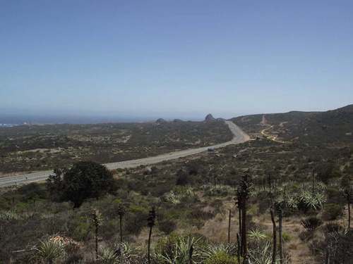 Venta Parcela, Rocas Del Mar, Los Molles (172254)