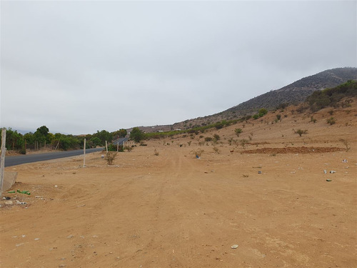Venta Terreno 14 Hás Villaseca Sin Comisión Corretaje