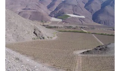 Agrícola en venta