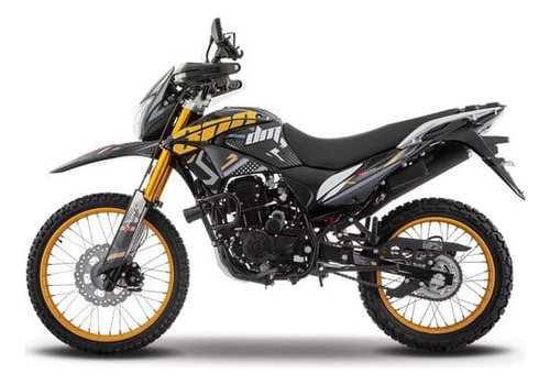 Motocicleta Italika Dm300