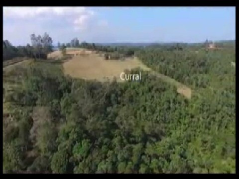Imagem 3 de 14 de Quaresmal, Fazenda Em Tapirai Quaresmal - Fa00037 - 4421652