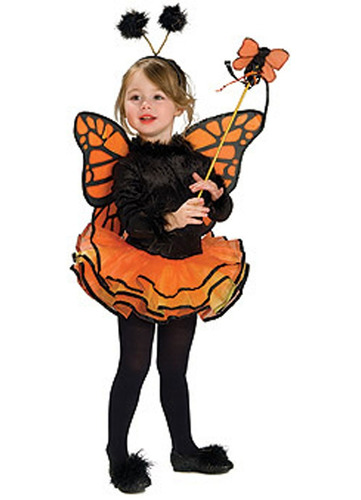 Disfraz Talla Toddler Para Niño Mariposa Naranja, Halloween
