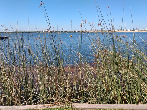 Imagen 15 de 20 de Lote 700 Metros En Venta Acacias Puertos Del Lago. Escobar