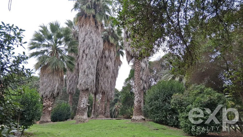 Parcela En Venta En Carampangue 4d Y 3b