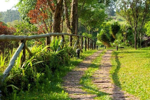 Imagem 6 de 14 de S12- Mega Oportunidade Para Adquirir Seu Lote No Interior